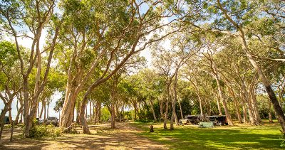 Elim Beach Campground