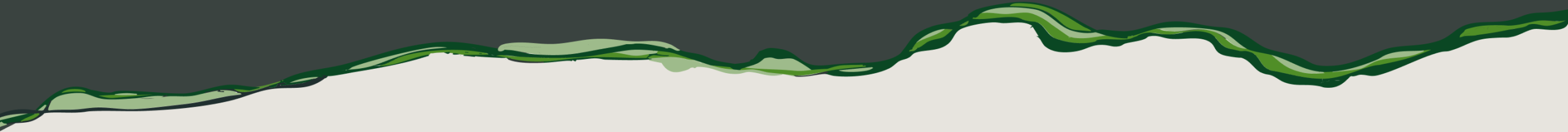 cooktown_banner-wave (1)