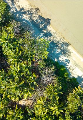 Cooya-Beach-Gallery-1