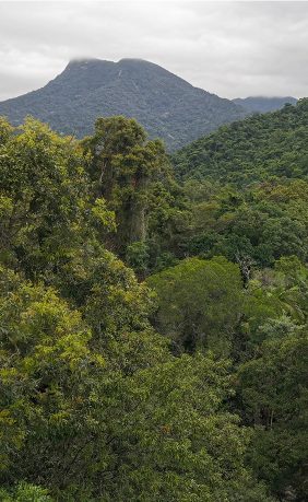 Cooya-Beach-Gallery-3