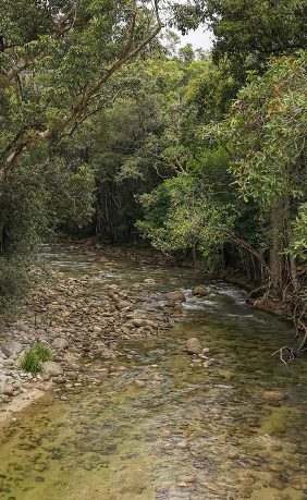 Cooya-Beach-Gallery-6